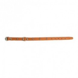 COLLAR PERRO FORNITURA 01002