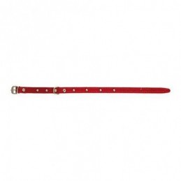 COLLAR PERRO FORNITURA 01005