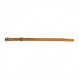 COLLAR PERRO FORNITURA 01007