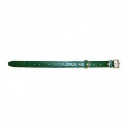 COLLAR PERRO FORNITURA 01008