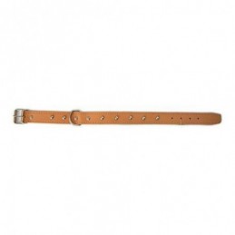 COLLAR PERRO FORNITURA 01010