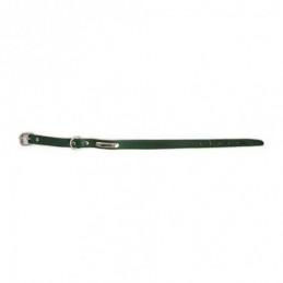 COLLAR PERRO CON PLACA 01018