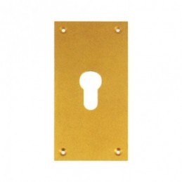 PLACA LATONADO PERA 60X120...