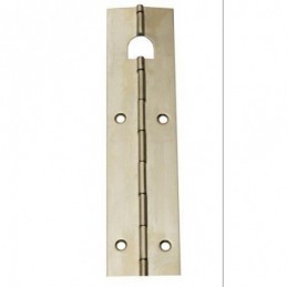 BISAGRA PIANO 32X480MM NIQ....